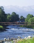 Lipiec nad Dunajcem